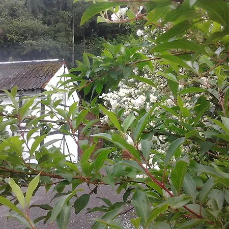 Vakantiehuis Le Neblon Insolite *