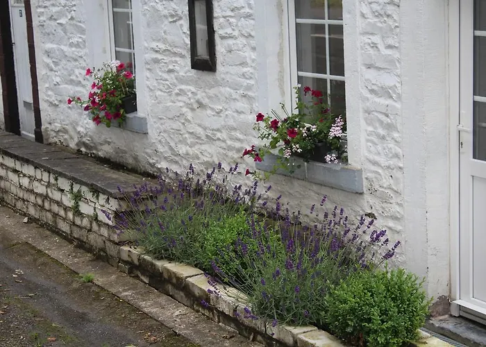 Dom wakacyjny Le Neblon Insolite *