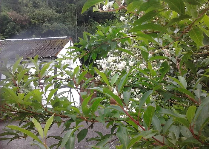 Dom wakacyjny Le Neblon Insolite *